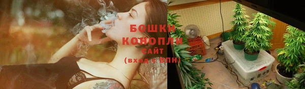 прущие грибы Нефтегорск